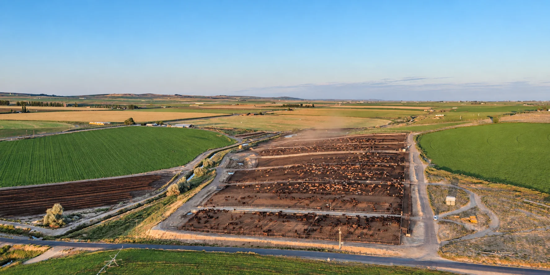 Aerial view of cattle areas at Royal Family Farms in Royal City, Washington